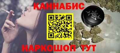 spice Гай