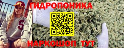 spice Гай
