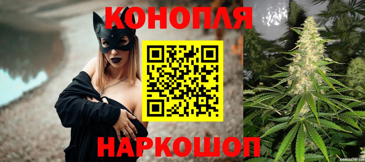Курчатов  Бошки марихуана план  Бошки марихуана марихуана  Вход с VPN 